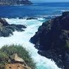 cyn_11