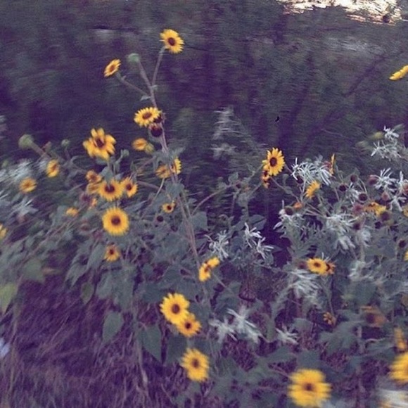 ar1elb