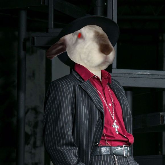 grayrabbit55