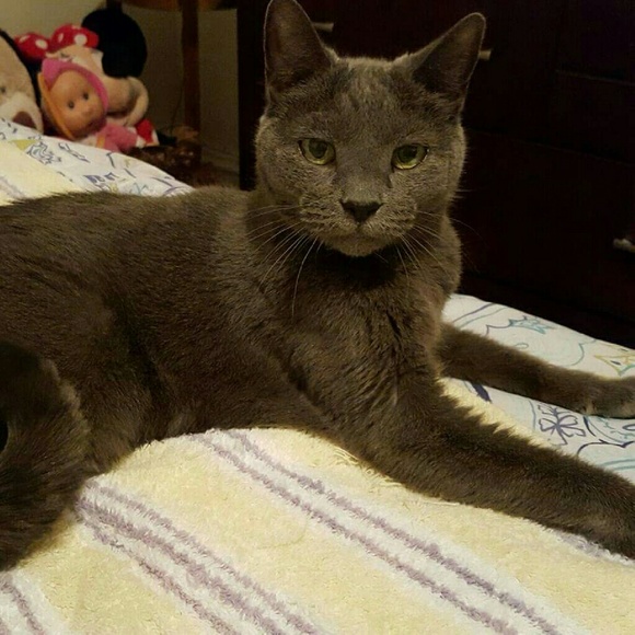hprmom01