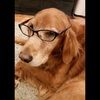 michelemy