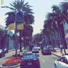 jackierod21