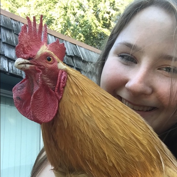 nugget1000