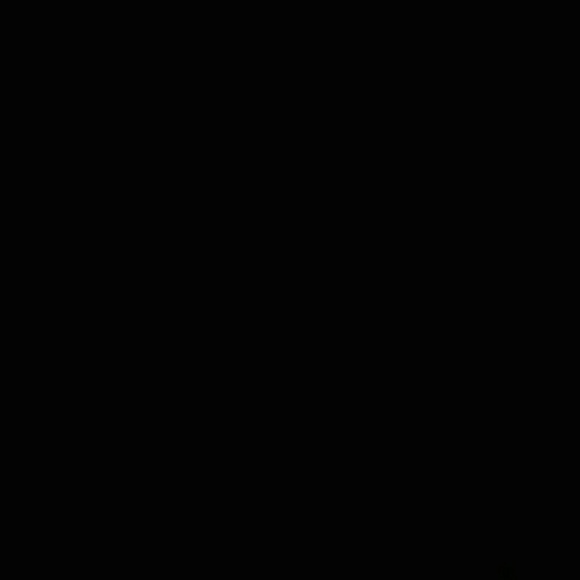 lilwarren5
