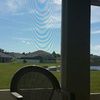 snapple_815