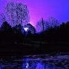 amethyst89