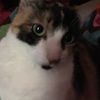 jacq37