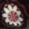 diana_js