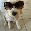 pasture