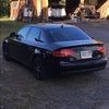 josh_cieless