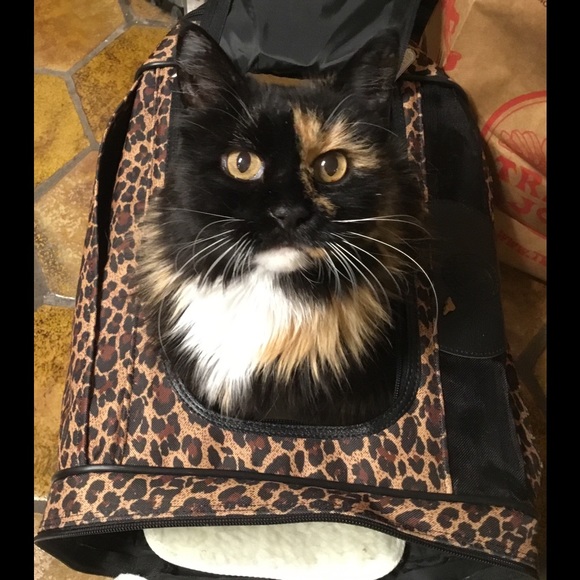 funstuffhoarder