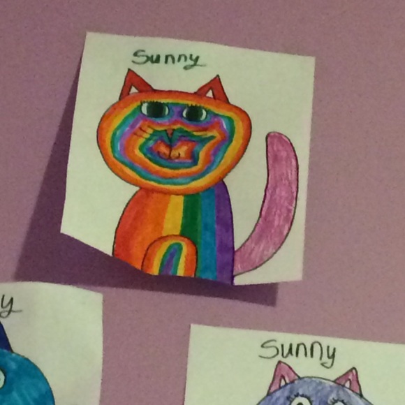 sunny_the_cat