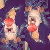 amandaaa35