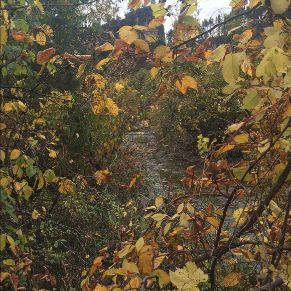 bergseth