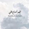 ahmedhashim
