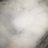 edom420