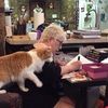 susangibson