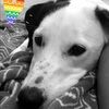 snoopy0728