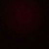 robertlopez23