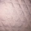 hornerp29