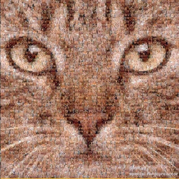 nixk41200