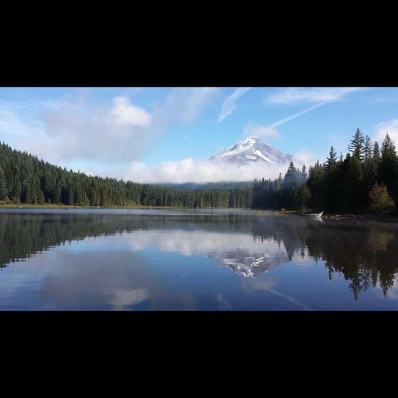 oregongramma