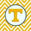 tennessee7