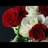 norasally1