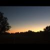 nj_tilley
