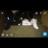 dylan_y