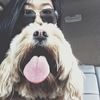 wuvvivian