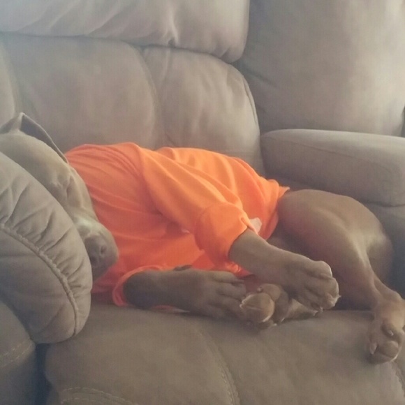 sleepingboy