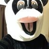 bmsmatt