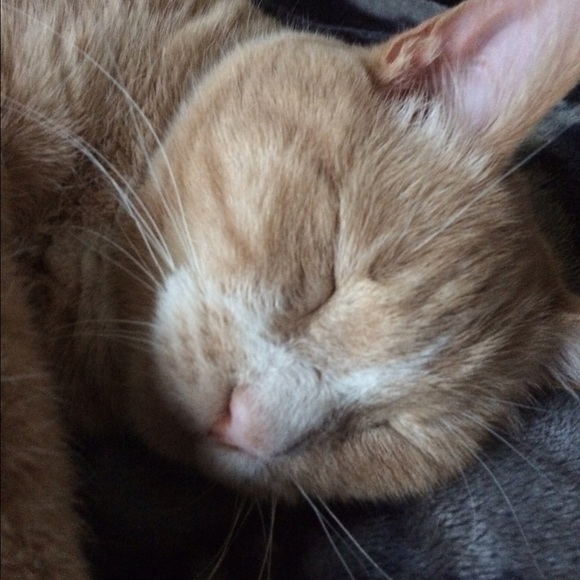 soulessginge