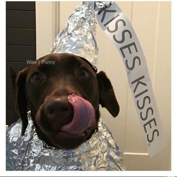 scurtisg