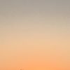 siler_13