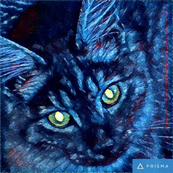 jrobb519