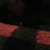 lizzybuth22