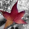 marwa_ahmed11