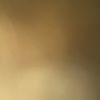 mollym_4