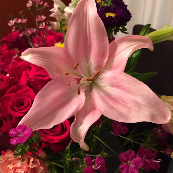 sylvia889