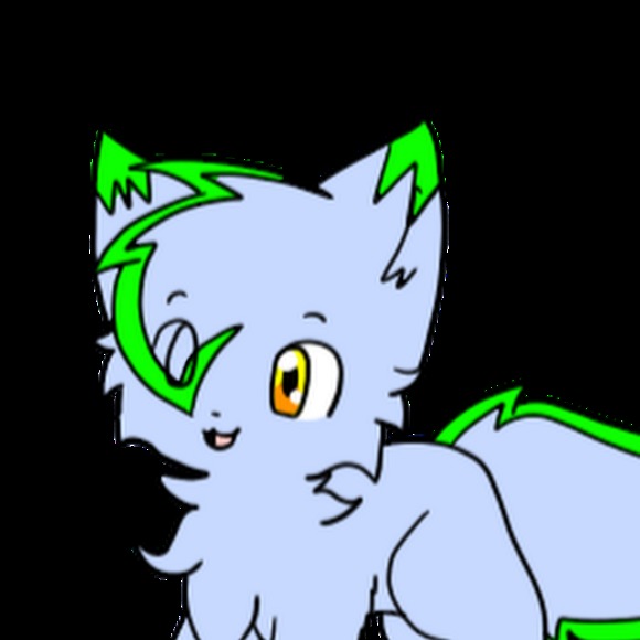 blueraccoon