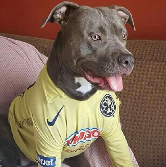 ale_esquivel