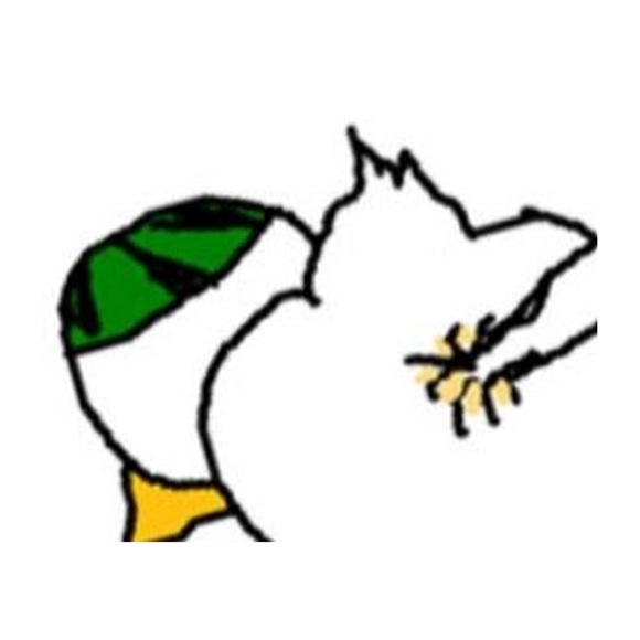 kevinrostro