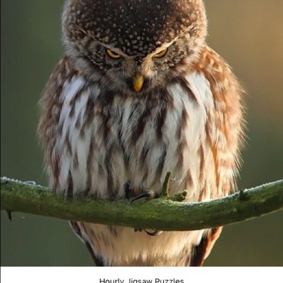 bbiryna