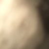 pswhite7