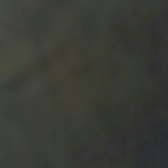 ayeevelynx