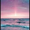 lissy_d