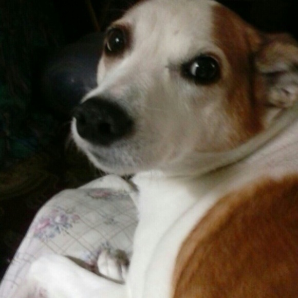 roscoe99