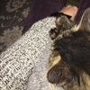 msmckenna110